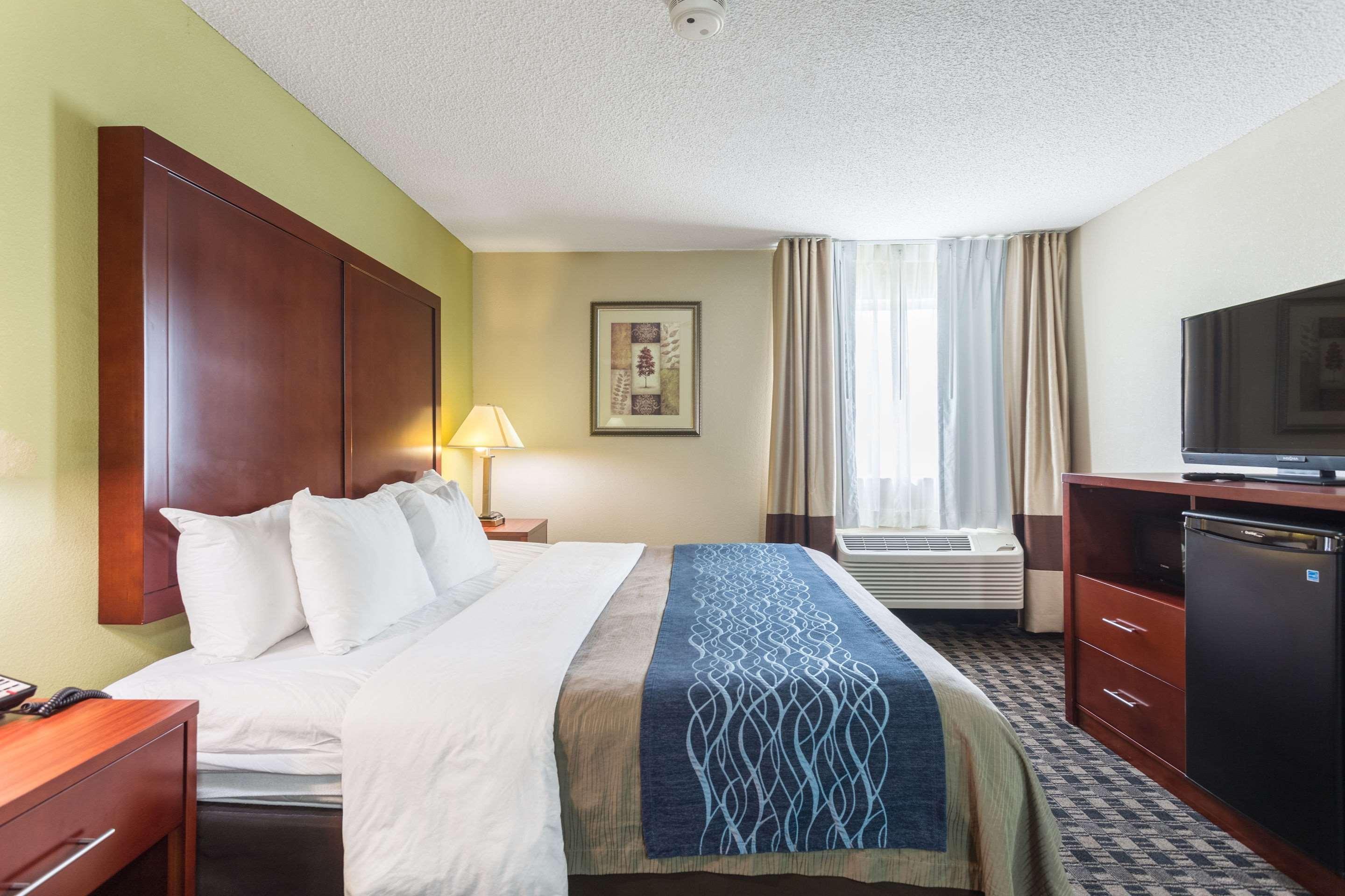 Comfort Inn Decatur Priceville Esterno foto