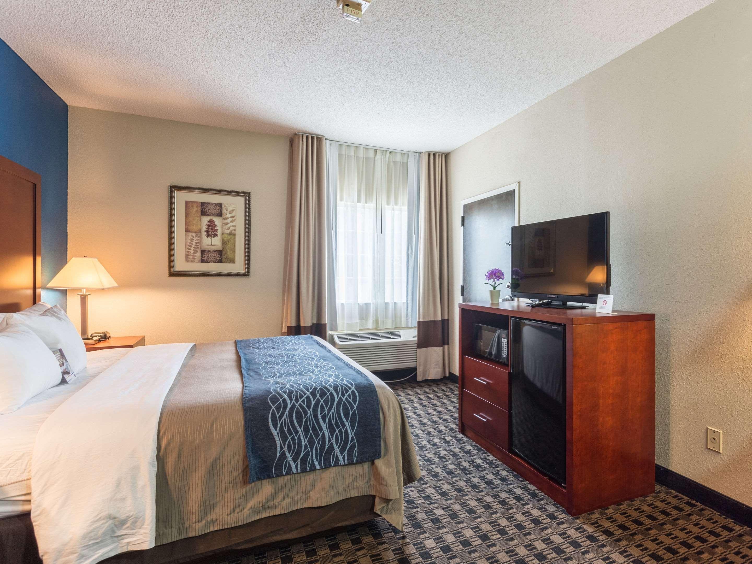 Comfort Inn Decatur Priceville Esterno foto